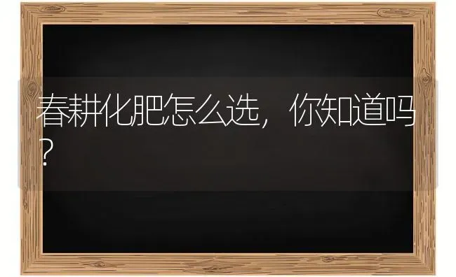 春耕化肥怎么选,你知道吗? | 养殖技术大全