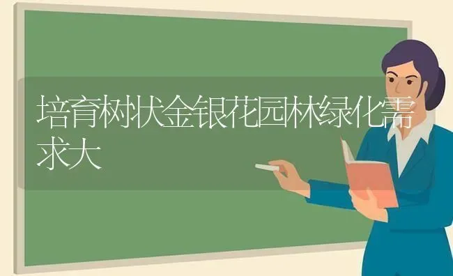 培育树状金银花园林绿化需求大 | 养殖知识