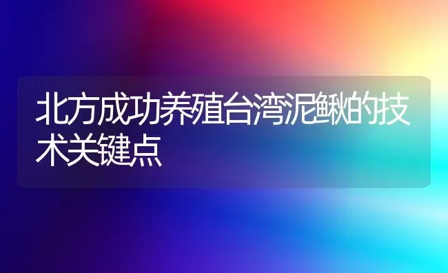 北方成功养殖台湾泥鳅的技术关键点 | 养殖技术大全