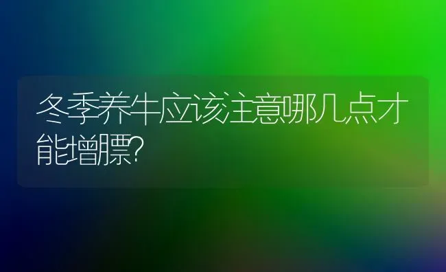 冬季养牛应该注意哪几点才能增膘? | 养殖技术大全