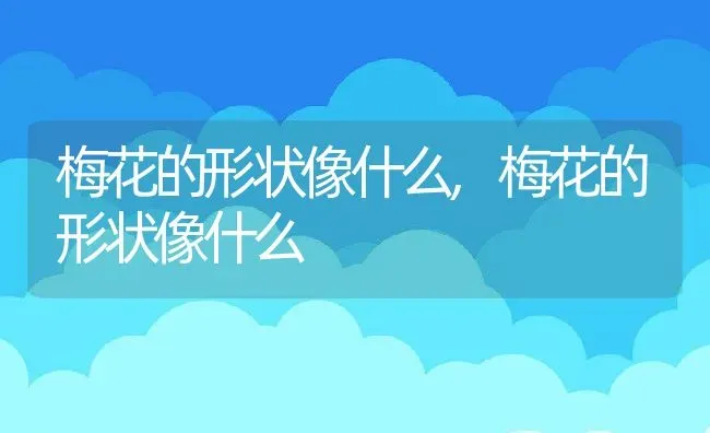 梅花的形状像什么,梅花的形状像什么 | 养殖科普