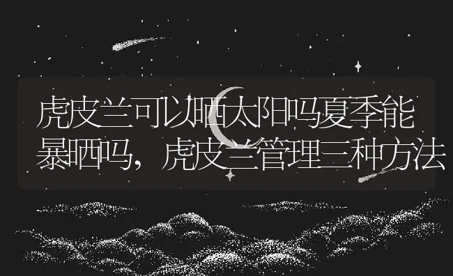 虎皮兰可以晒太阳吗夏季能暴晒吗,虎皮兰管理三种方法 | 养殖学堂