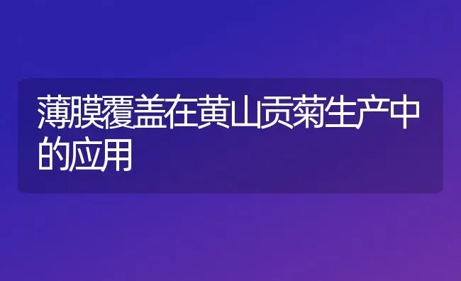 薄膜覆盖在黄山贡菊生产中的应用 | 养殖技术大全