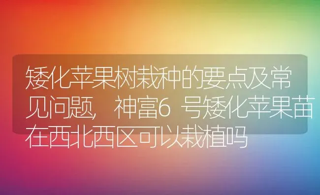 矮化苹果树栽种的要点及常见问题,神富6号矮化苹果苗在西北西区可以栽植吗 | 养殖学堂