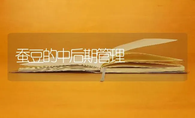 蚕豆的中后期管理 | 养殖知识