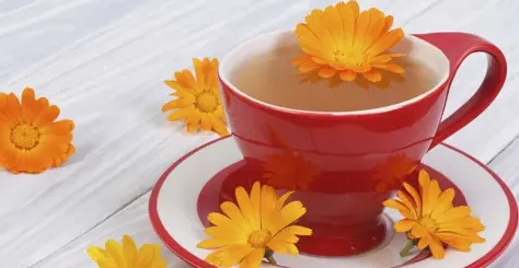 哪种菊花泡水喝功效最好,喝什么菊花茶最好？