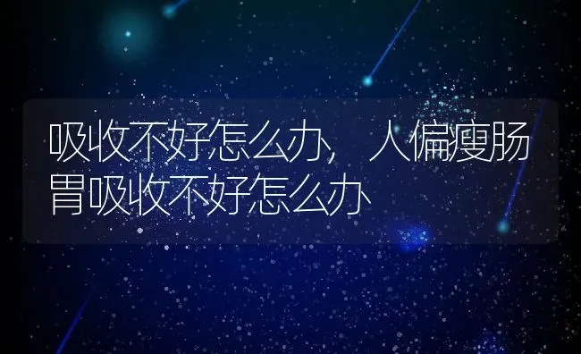 吸收不好怎么办,人偏瘦肠胃吸收不好怎么办 | 养殖资料