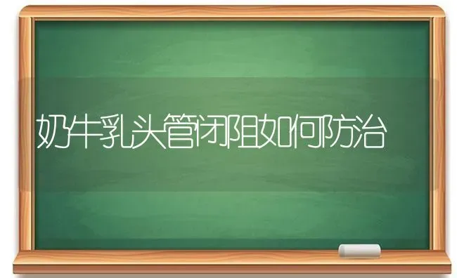 奶牛乳头管闭阻如何防治 | 养殖知识