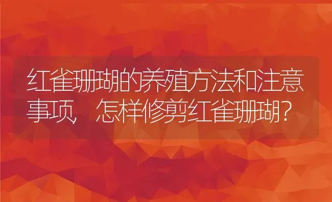 红雀珊瑚的养殖方法和注意事项,怎样修剪红雀珊瑚？ | 养殖科普