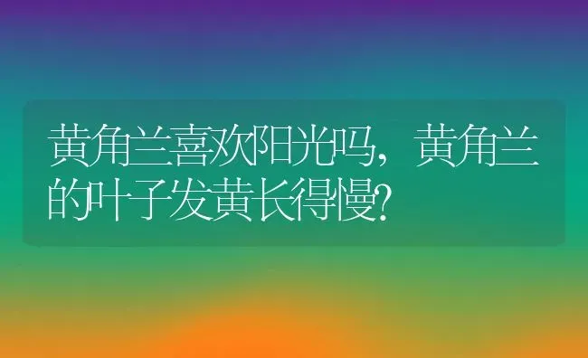 黄角兰喜欢阳光吗,黄角兰的叶子发黄长得慢？ | 养殖科普