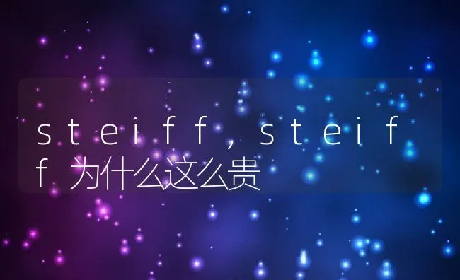 steiff,steiff为什么这么贵 | 养殖科普