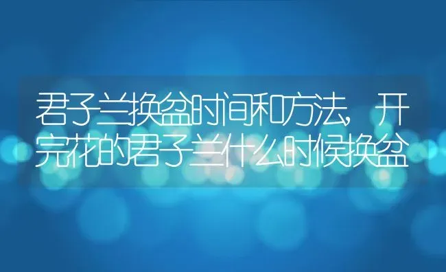 君子兰换盆时间和方法,开完花的君子兰什么时候换盆 | 养殖学堂