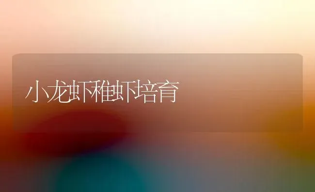 小龙虾稚虾培育 | 养殖技术大全