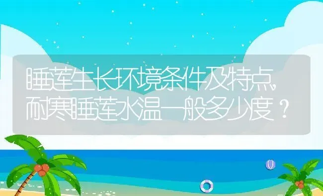 滴水观音为什么叶子发黄,滴水观音叶子发黄干尖？ | 养殖科普