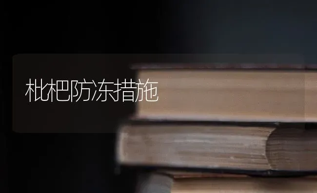 枇杷防冻措施 | 养殖知识