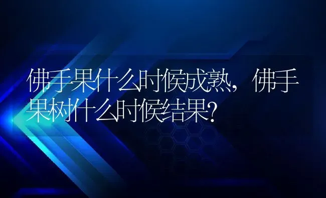 佛手果什么时候成熟,佛手果树什么时候结果？ | 养殖科普