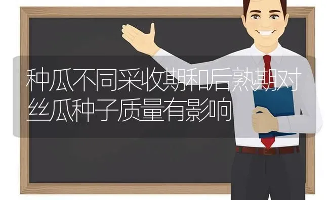 种瓜不同采收期和后熟期对丝瓜种子质量有影响 | 养殖技术大全