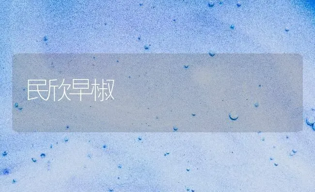 民欣早椒 | 养殖技术大全