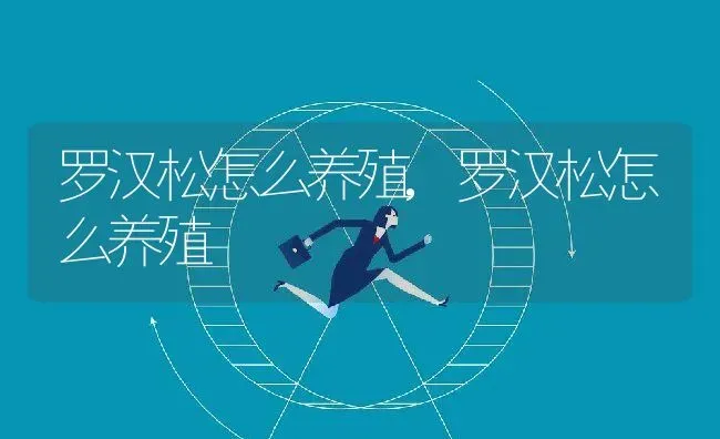 罗汉松怎么养殖,罗汉松怎么养殖 | 养殖科普