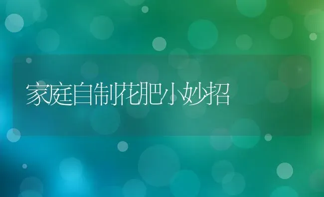 家庭自制花肥小妙招 | 养殖技术大全