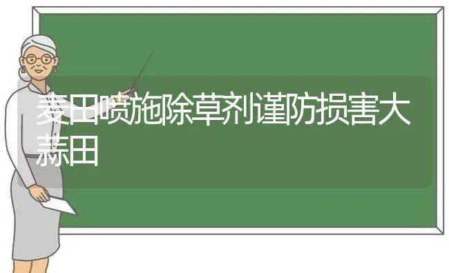 麦田喷施除草剂谨防损害大蒜田 | 养殖技术大全