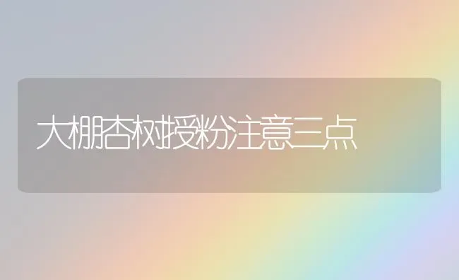 大棚杏树授粉注意三点 | 养殖技术大全