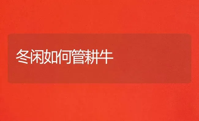 冬闲如何管耕牛 | 养殖知识