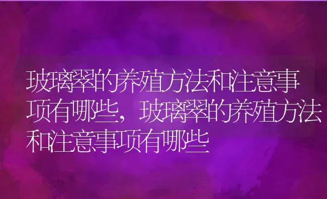 玻璃翠的养殖方法和注意事项有哪些,玻璃翠的养殖方法和注意事项有哪些 | 养殖科普