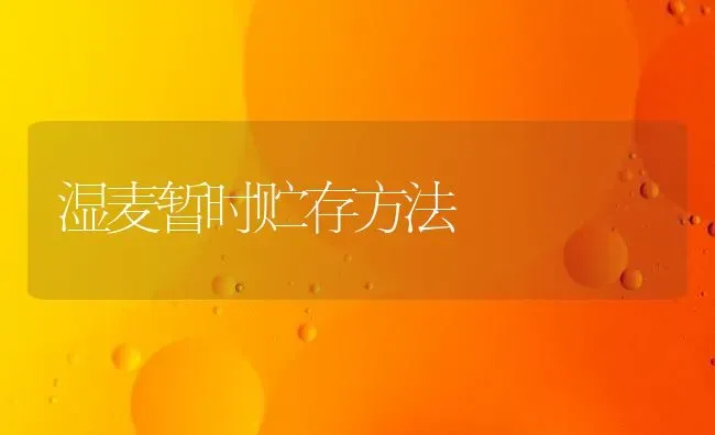 湿麦暂时贮存方法 | 养殖技术大全