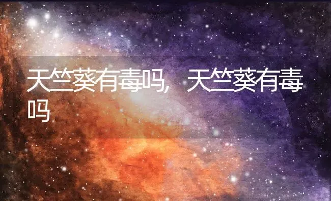 天竺葵有毒吗,天竺葵有毒吗 | 养殖科普