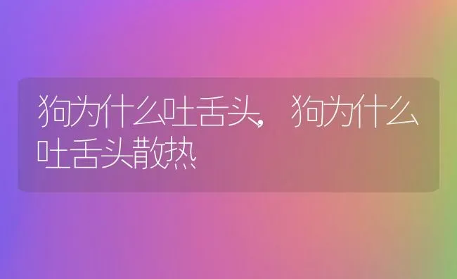 狗为什么吐舌头,狗为什么吐舌头散热 | 养殖资料