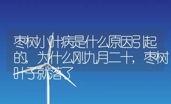 枣树小叶病是什么原因引起的,为什么刚九月二十,枣树叶子就落了 | 养殖学堂