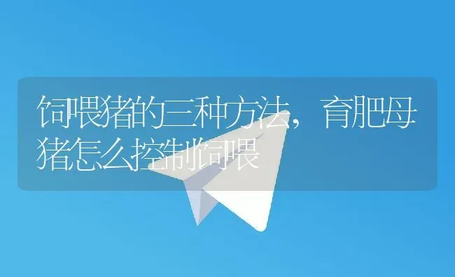 饲喂猪的三种方法,育肥母猪怎么控制饲喂 | 养殖学堂