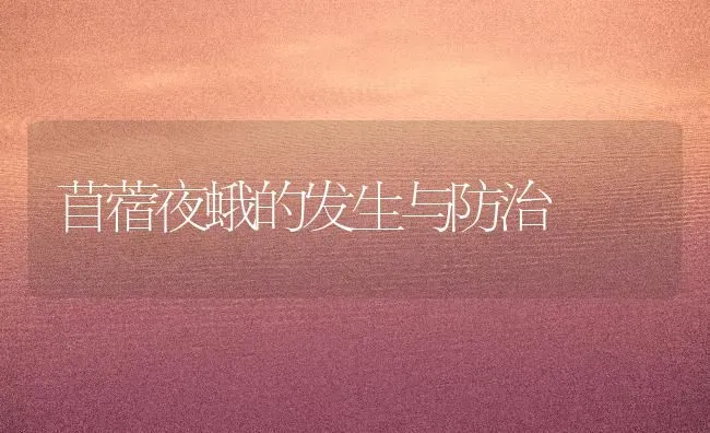 苜蓿夜蛾的发生与防治 | 养殖技术大全