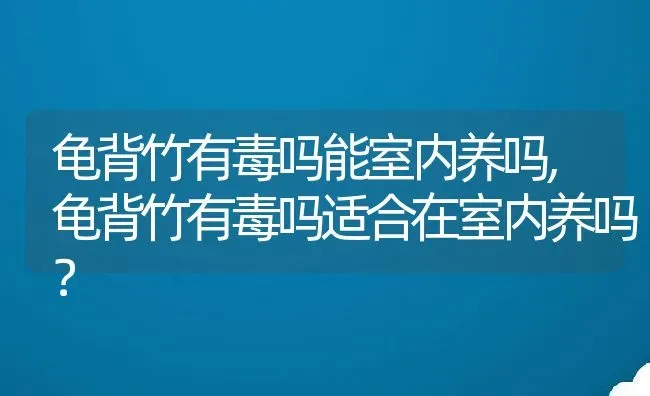 龟背竹有毒吗能室内养吗,龟背竹有毒吗适合在室内养吗？ | 养殖科普