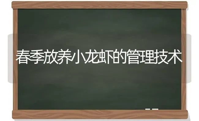 春季放养小龙虾的管理技术 | 养殖知识