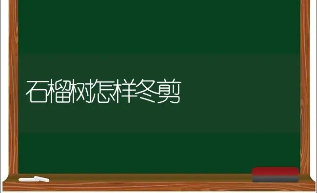 石榴树怎样冬剪 | 养殖知识