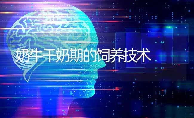 奶牛干奶期的饲养技术 | 养殖知识