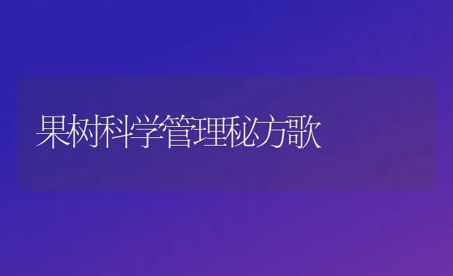 稻田养殖罗氏沼虾的关键措施 | 养殖技术大全