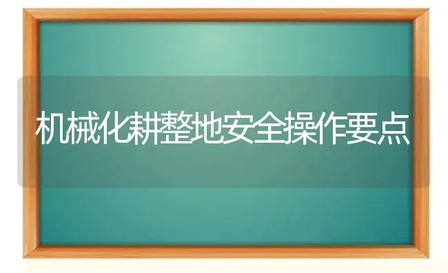 机械化耕整地安全操作要点 | 养殖技术大全