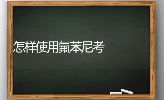 怎样使用氟苯尼考 | 养殖知识