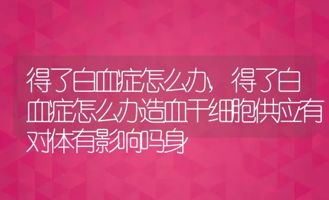 得了白血症怎么办,得了白血症怎么办造血干细胞供应有对体有影响吗身 | 养殖科普