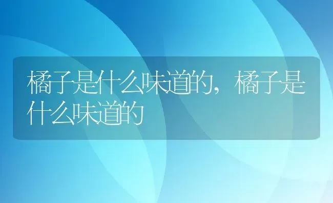 橘子是什么味道的,橘子是什么味道的 | 养殖科普