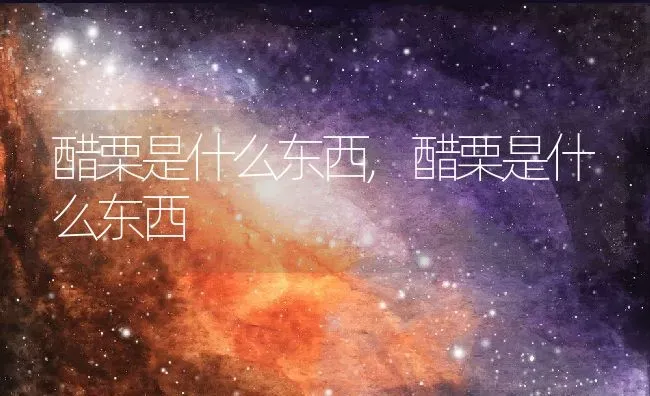 醋栗是什么东西,醋栗是什么东西 | 养殖科普