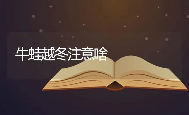 牛蛙越冬注意啥 | 养殖知识