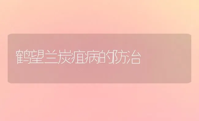 鹤望兰炭疽病的防治 | 养殖知识