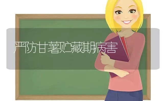 严防甘薯贮藏期病害 | 养殖技术大全