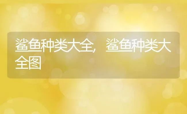 鲨鱼种类大全,鲨鱼种类大全图 | 养殖资料