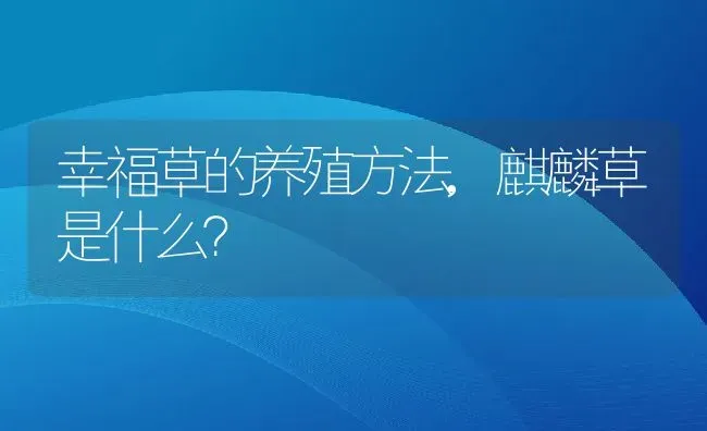 幸福草的养殖方法,麒麟草是什么？ | 养殖科普