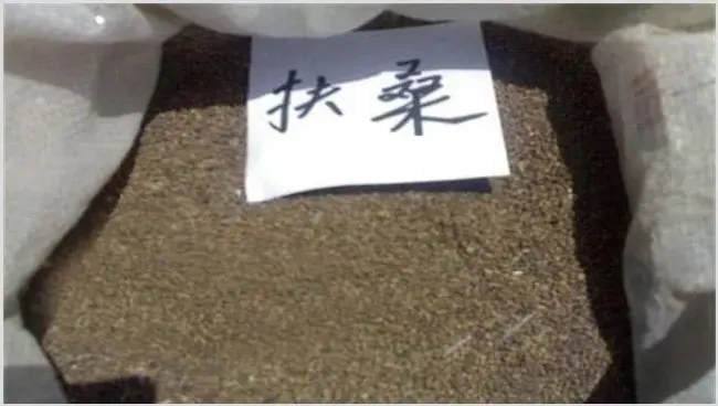 扶桑花的繁殖方法 | 常识大全